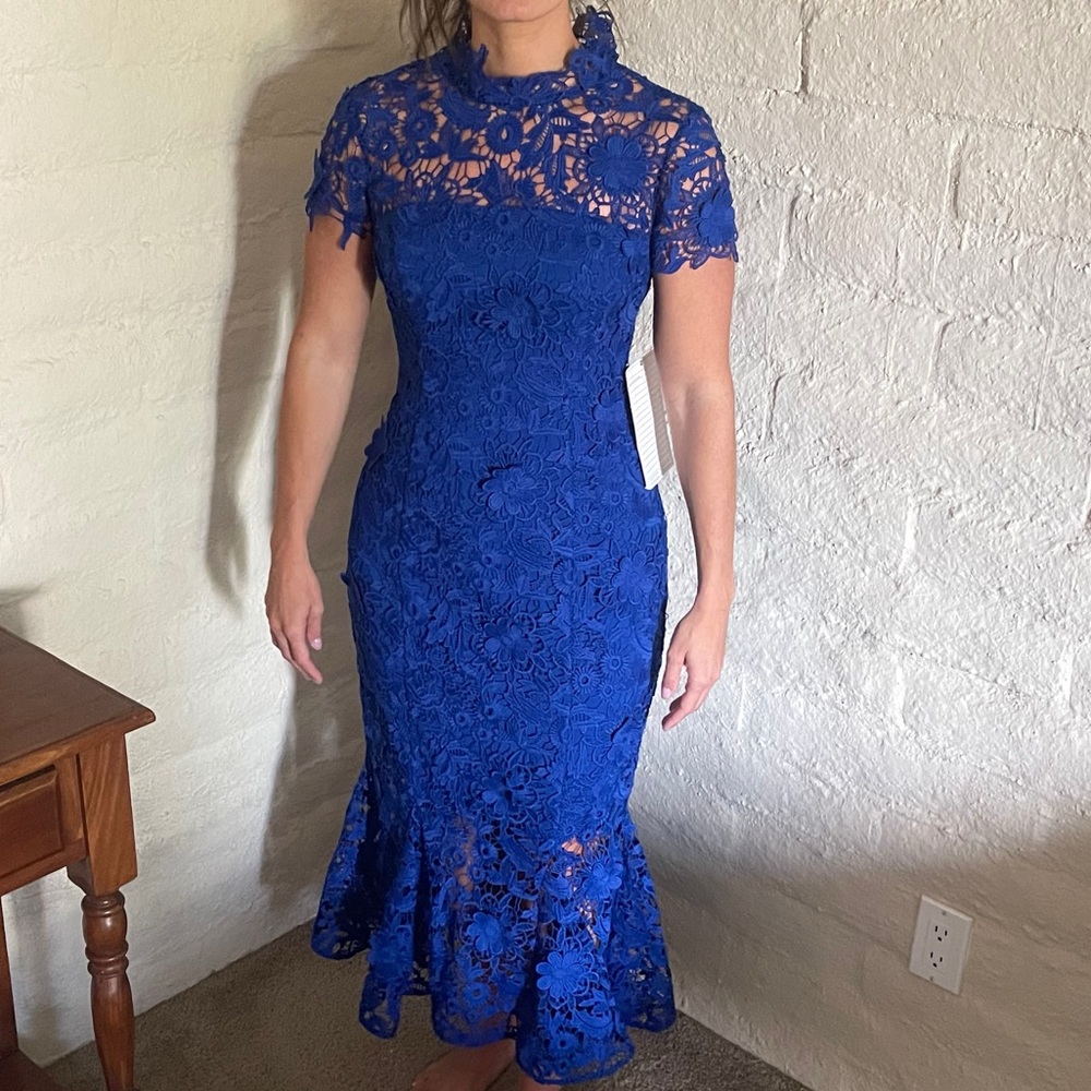 Zac Posen Lace Dress